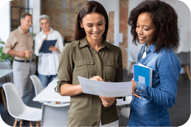 Segmento de atuação